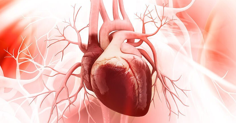 Adult Congenital Heart Disease treatment