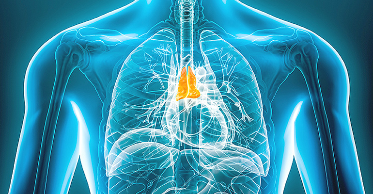 Thymus and Mediastinal Mass Excision, Pericardiectomy surgery
